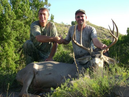 Ken 4 x 5 Mule Deer Trophy Buck